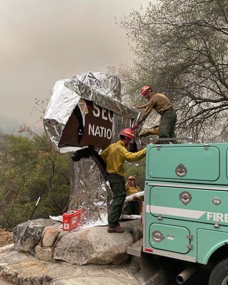 Firefighters wrap the historic Sequoia national park entrance sign with fire-proof blankets in California.