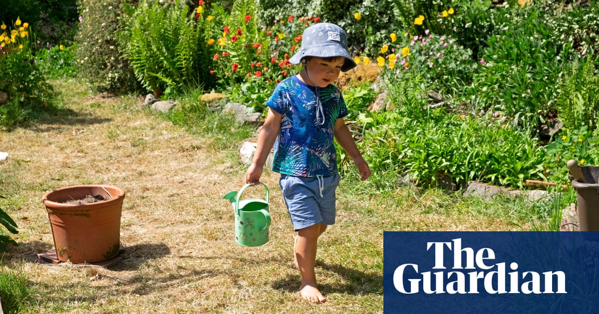 build-an-ark-and-ditch-the-pots-how-to-save-your-garden-in-a-drought