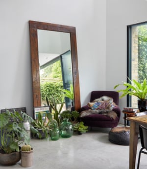Green scene: plants add colour and texture to a space.