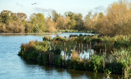 Walthamstow Wetlands nature reserve in north-east London, where Lynn Kinnear led a team that opened up a 200-hectare site, containing a group of reservoirs, to public access.