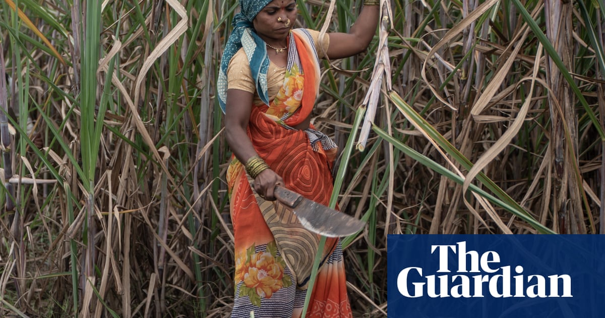 Outrage as sugar cane workers in India still being pushed' into having hysterectomies