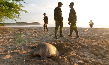 The Nicaraguan military patrols sea turtle nesting beaches to prevent poaching.
