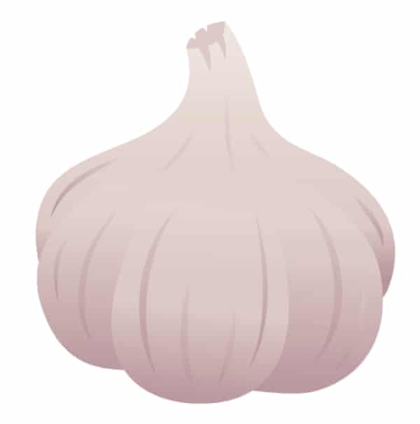 a proposed emoji for a bulb of garlic