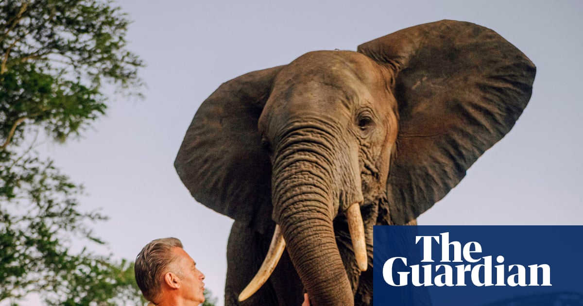 TV tonight: Chris Packham’s wondrous series about evolution