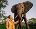 Chris Packham Series Explores Evolution of African Elephant