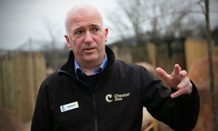 Chester zoo unveils £28m ‘Africa’ facility – complete with chilly giraffes (3) Chester zoo unveils £28m ‘Africa’ facility – complete with chilly giraffes (3)