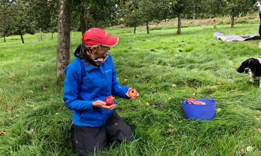 Sarah Baxter lends a hand at Little Pomona