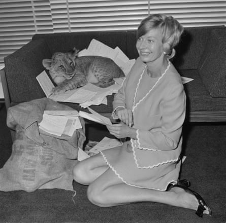 Baxter reading letters from fans, while a lion cub lies on a sofa, in September 1968