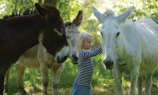 burros em Anes de la Vassivière
