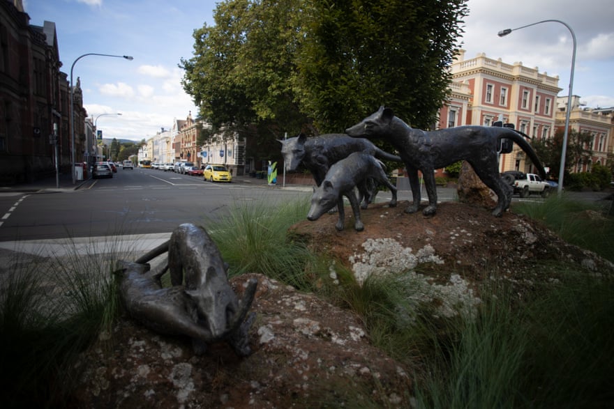 Tasmanian Tiger statue in Civic Square near the town hall in Launceston, Northern Tasmania