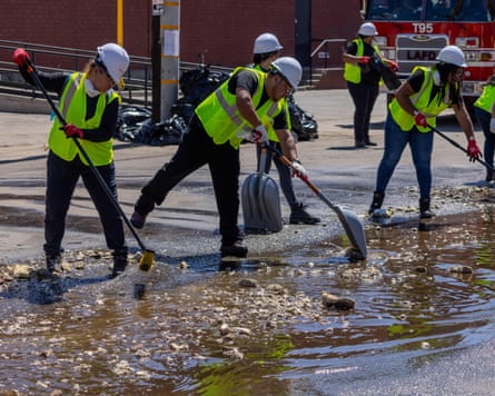 groups of workers sweep food into puddles of water outside