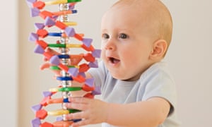 Baby playing with DNA model