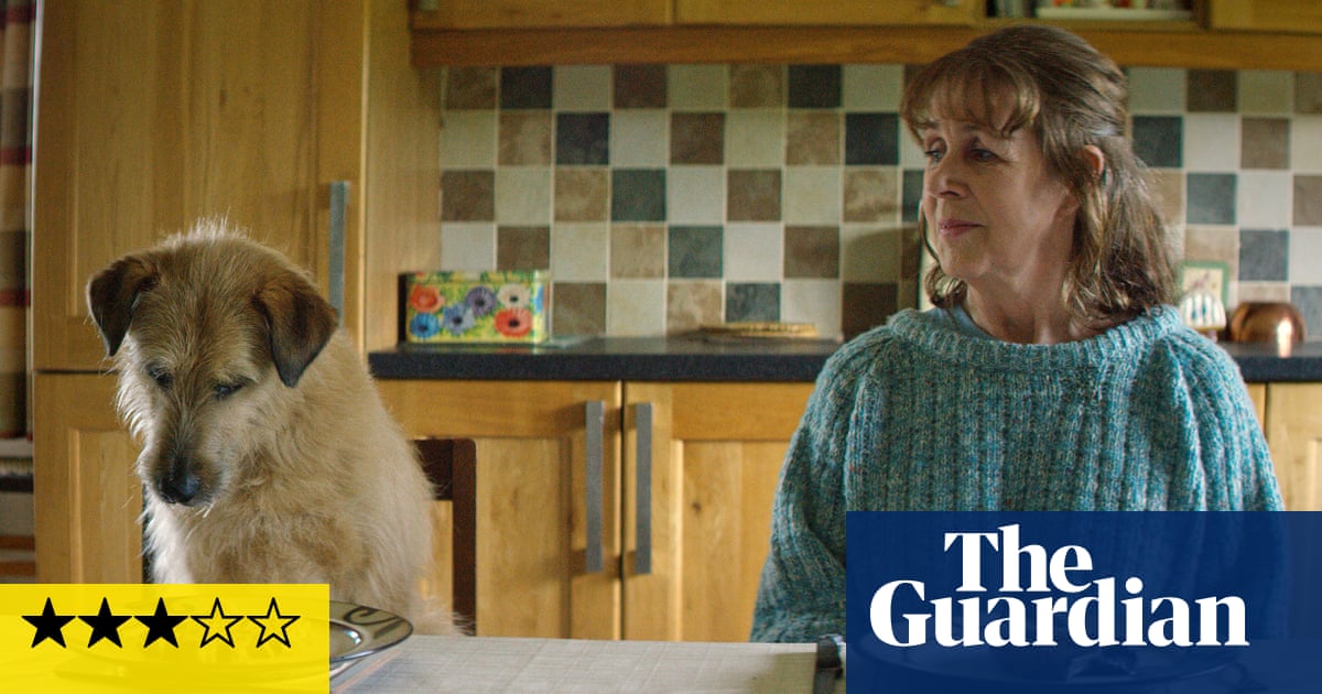 Róise & Frank review – a shaggy-dog story with easy Irish charm