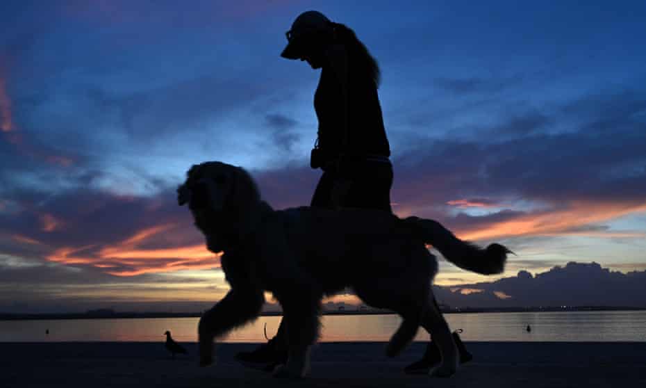 Silhouette of a dog being walked
