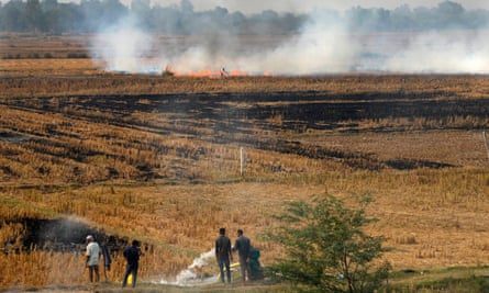 Farmers burning crop stubble
