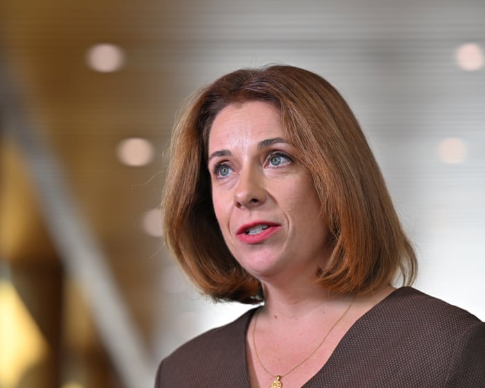 Anika Wells claimed more than $8,500 for family travel to Melbourne during AFL grand final weekends over three years