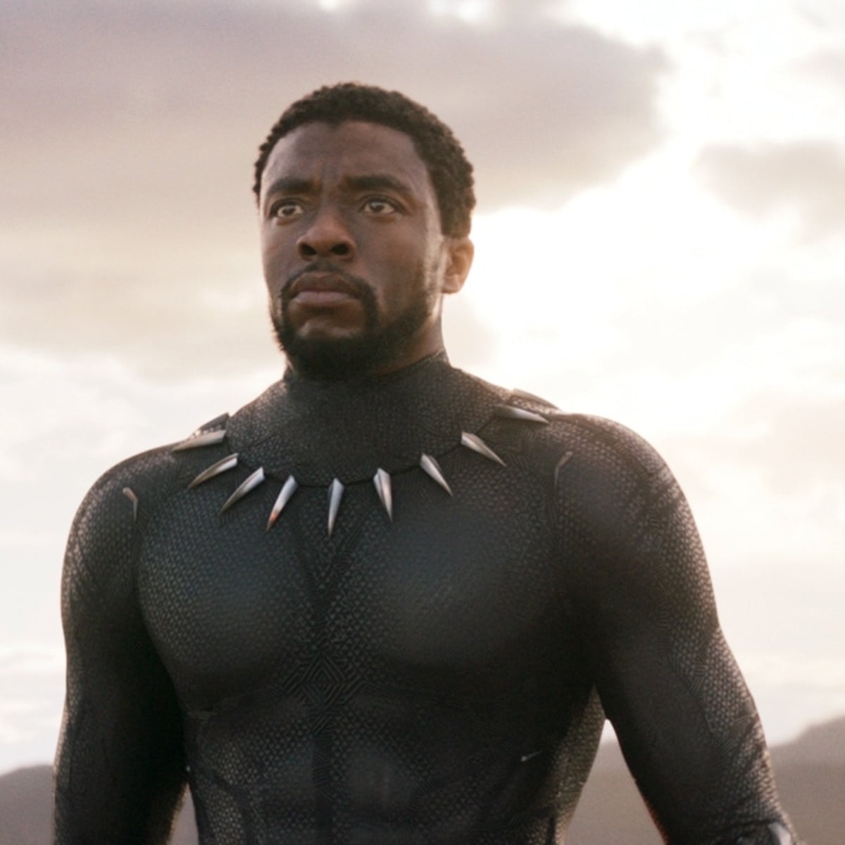 Black Panther: can the Marvel franchise survive without Chadwick Boseman?, Chadwick Boseman