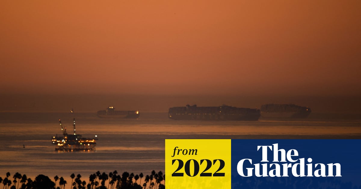 www.theguardian.com