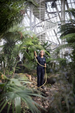 A horticulturalist tends to some of the 10,000 new plants.