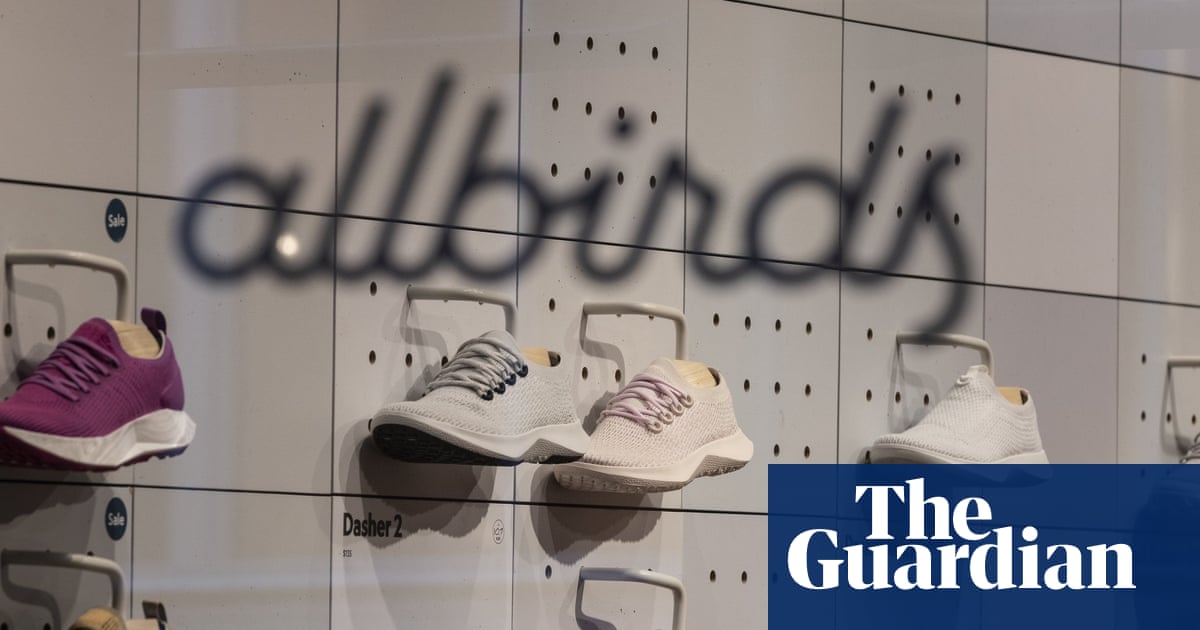 Shares in Allbirds surge after maker of wool sneakers announces pivot to AI