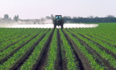 tractor sprays substance on rows green plants