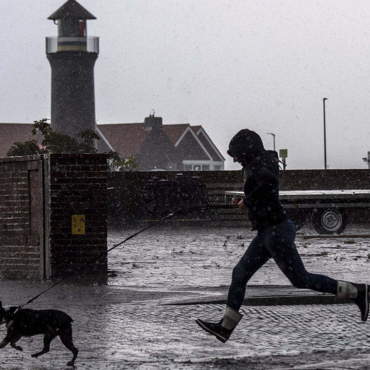 Germans Must Walk Their Dogs Twice A Day New Law Will Say Germany The Guardian