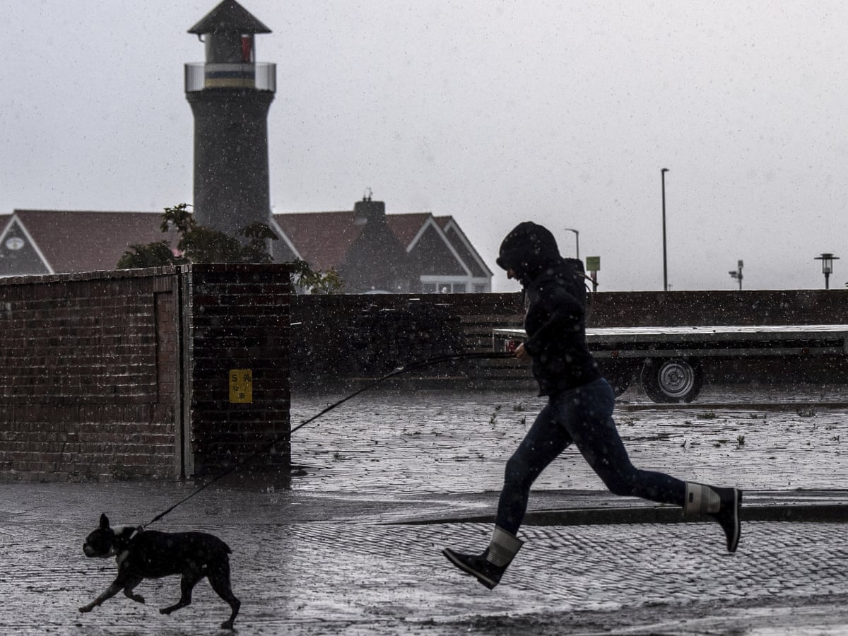 Is Walking A Dog Without A Lead Illegal Uk is-walking-a-dog-without-a-lead-illegal-uk