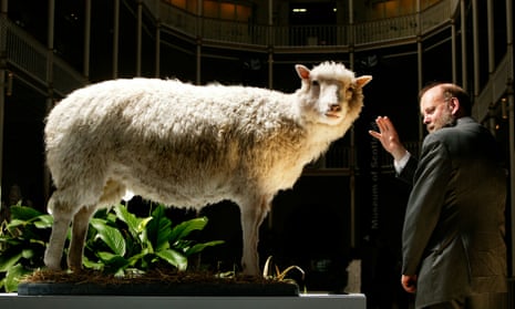 Dolly the Sheep creator calls for biobank to save endangered animals |  Science | The Guardian
