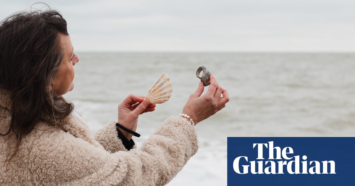 I’m obsessed with broken shells: they are marked by life, like our skin | Oceans I’m obsessed with broken shells: they are marked by life, like our skin | Oceans
