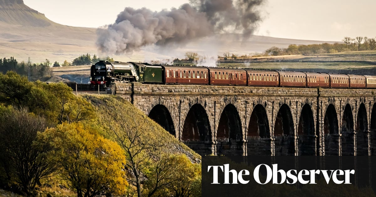 End of the line? Vintage train journeys at risk as coal supply fails