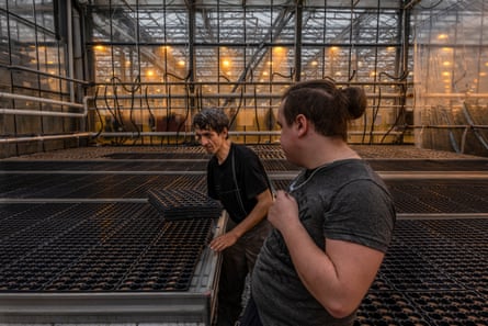 Greenhouse workers plant seeds in boxes in the facility’s seed hall, March 2023