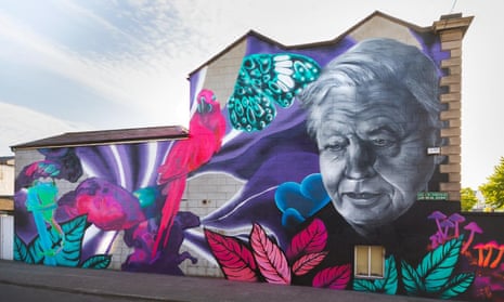 Mural of David Attenborough which Dublin City Council want removed.