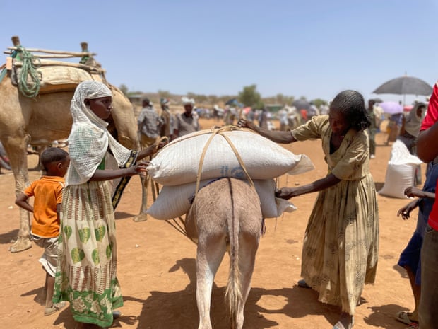 Sacks of grain are tied to a donkey for transporting.