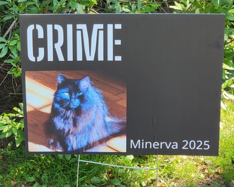 The cat mayoral race: meet 11 runners and riders in the US’s most ...