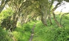 My idea of happiness? A strimmer and a bramble-choked path