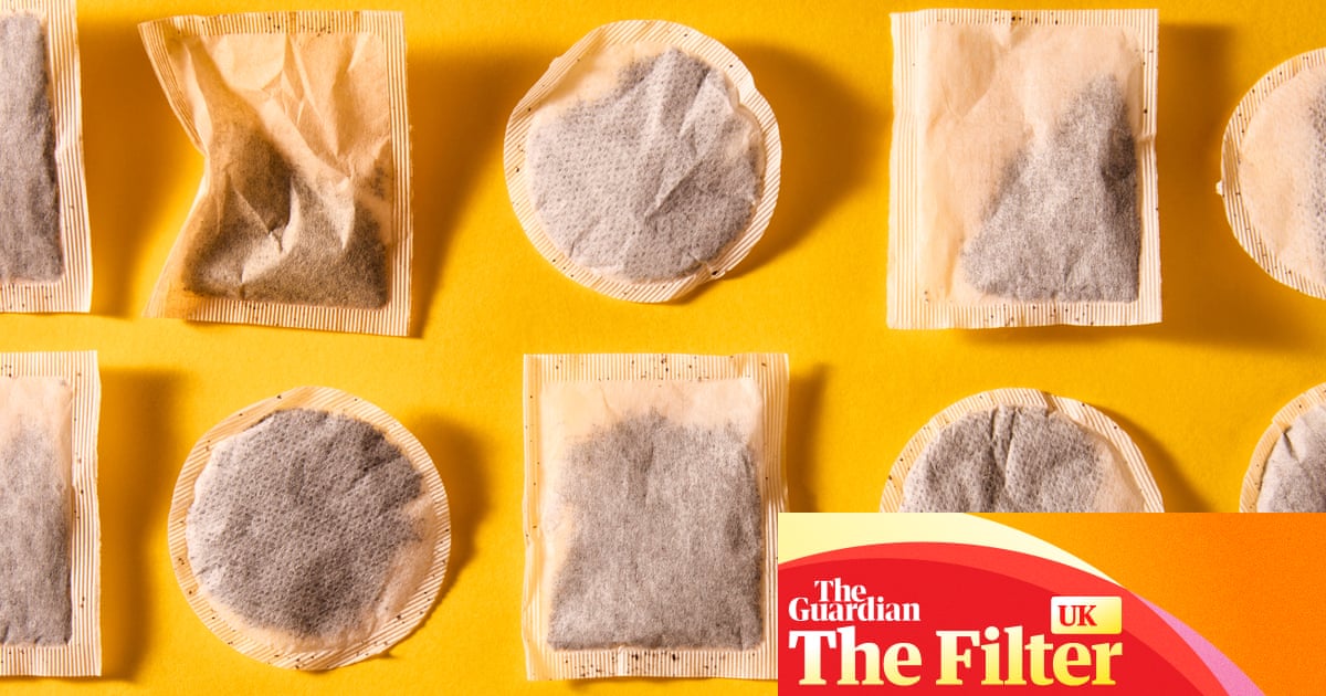 ‘Dull and musty’: the best (and worst) supermarket breakfast teabags, tasted and rated