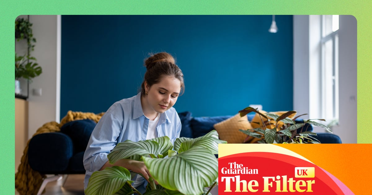 The best places to buy plants online, according to top gardeners and landscape designers