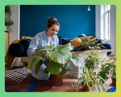 Millennial woman sitting on floor with various houseplants and cardboard box, ordering delivery of indoor plants, people preparing for moving or relocation to new home