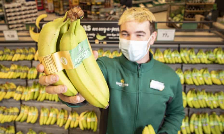 Shop assistant holds up bananas tied with a paper band