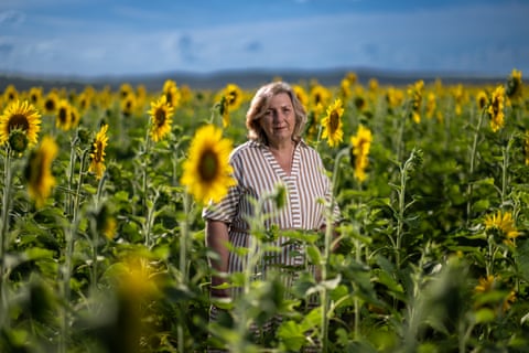 Jenny Jenner on her sunflower farm in Kalbar