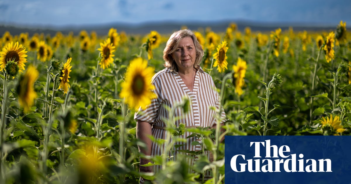 ‘They just make you happy’: the Queensland farmers who took a chance on a million sunflowers | Documentary films | The GuardianBack to homepage