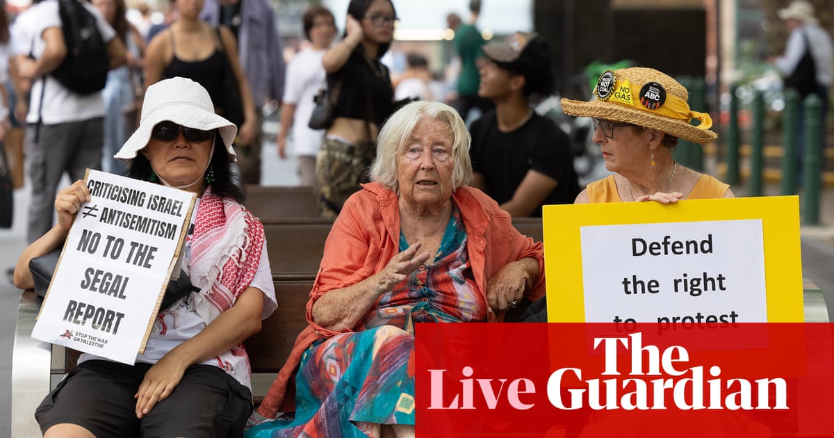 Australia news live: NSW lower house passes anti-protest laws; Greens and pro-Palestine groups plan constitutional challenge