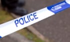 Boy aged 3 dies after dog bite in Essex