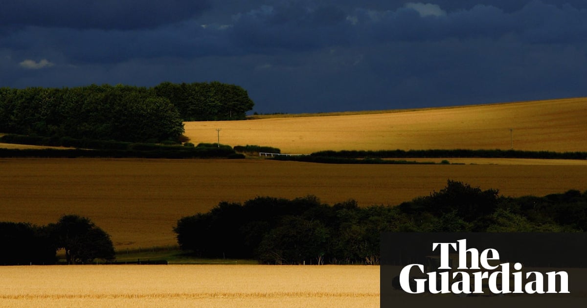 Revealed: majority of politicians on key EU farming panel have industry links | Environment | The Guardian