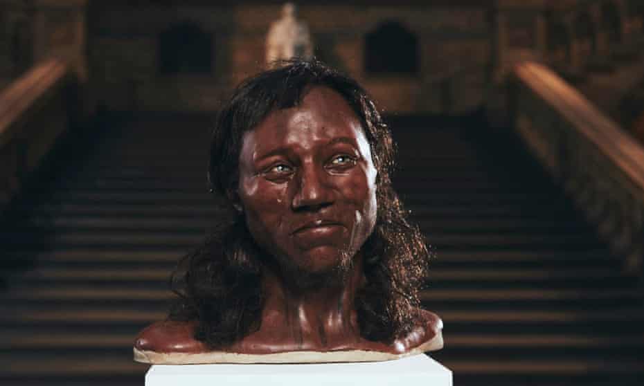 A forensic reconstruction of Cheddar Man’s head, based on the new DNA evidence and his fossilised skeleton.