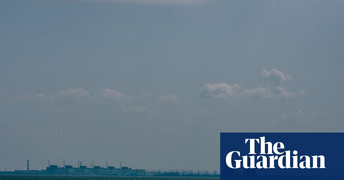 Ukraine's energy sector corruption crisis what we know so far and who was involved