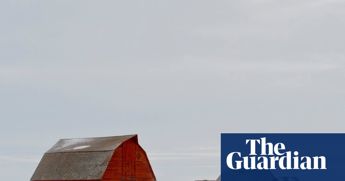 Love Lane by Patrick Gale review – a homecoming tale with echoes of Brokeback Mountain