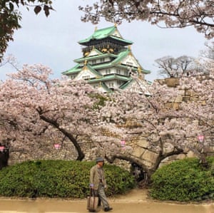 Osaka Castle, with a cherry on top.