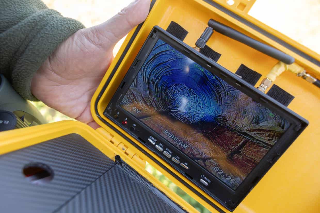What a camera in a recently installed nesting box can see