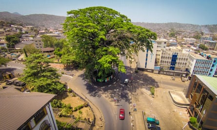 Cars drive past the iconic Cotton Tree in downtown Freetown, Sierra Leone. The tree is tall and green against a city backdrop and sunny, blue skies.